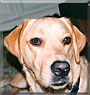 Cassius