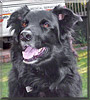 Abbi