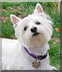 Abby