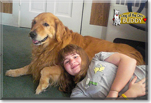 Buddy, the Dog of the Day
