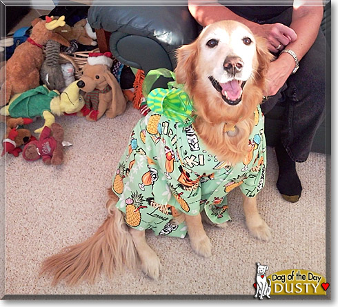 Dusty, the Dog of the Day