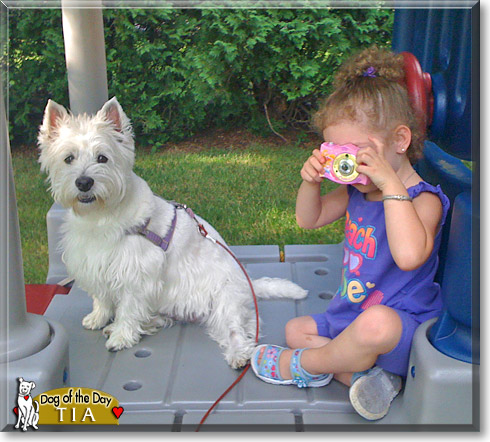 Tia, the Dog of the Day