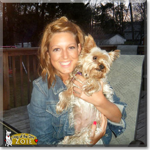 Zoie, the Dog of the Day