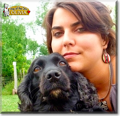 Olivia, the Dog of the Day