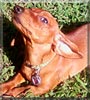 Lilly