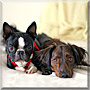 Milo, Ruby