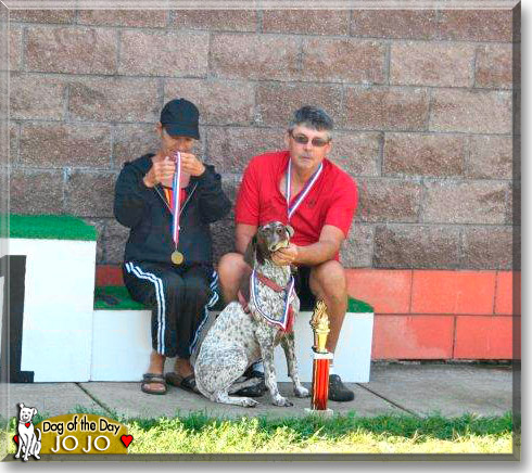 Jo Jo, the Dog of the Day