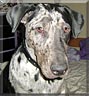 Tucker