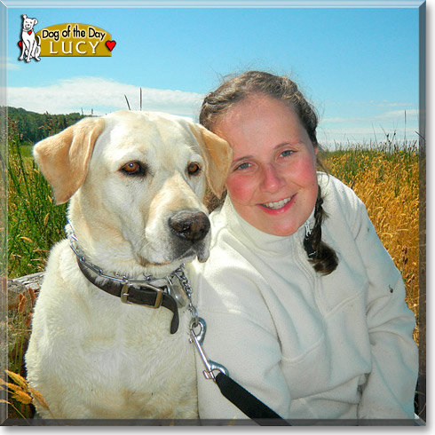 Lucy, the Dog of the Day Lucy, the Dog of the Day