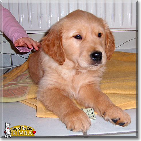 Kimba, the Dog of the Day Kimba, the Dog of the Day