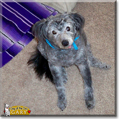 Gary Bryant Crane, the Dog of the Day Gary Bryant Crane, the Dog of the Day