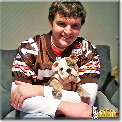 Paul, the Dog of the Day