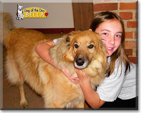 Bella, the Dog of the Day