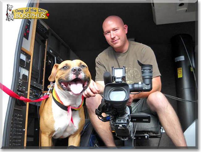 Bosephus, the Dog of the Day