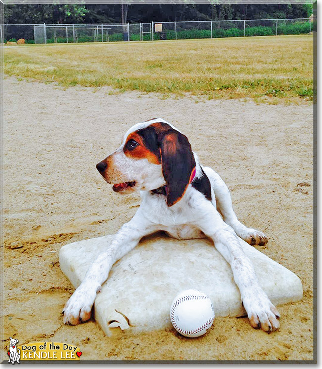 Kendle Lee, the Dog of the Day