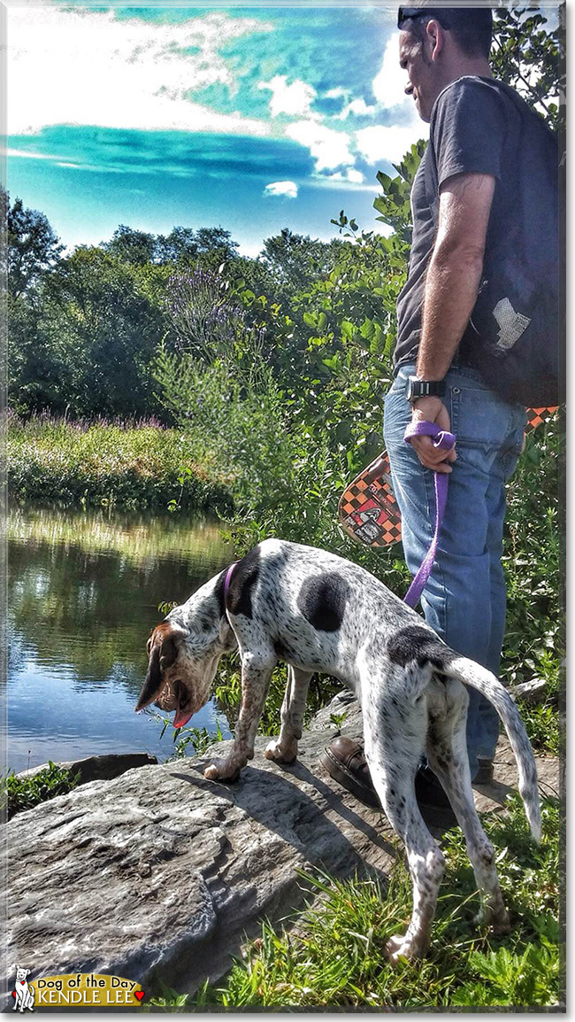 Kendle Lee, the Dog of the Day