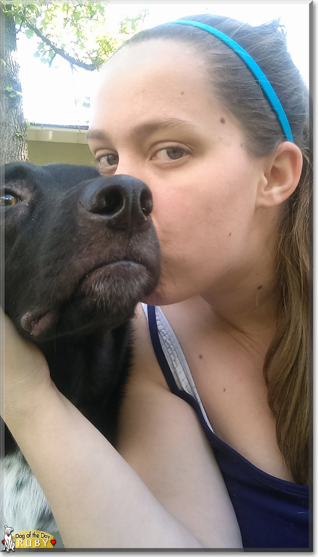 Ruby the Cattle Dog/Labrador Mix, the Dog of the Day