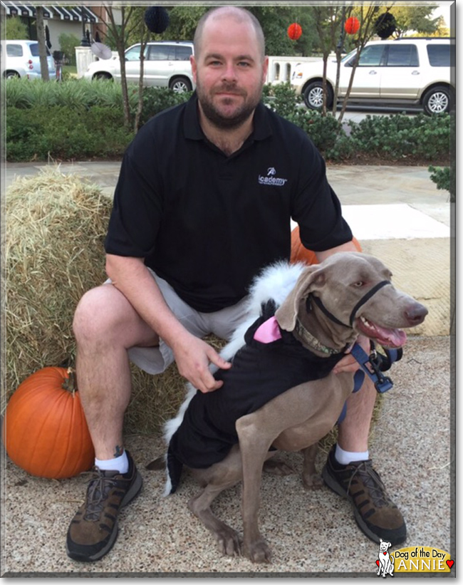 AnnieBelle the Weimaraner, the Dog of the Day