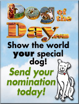 Show the world your special dog!